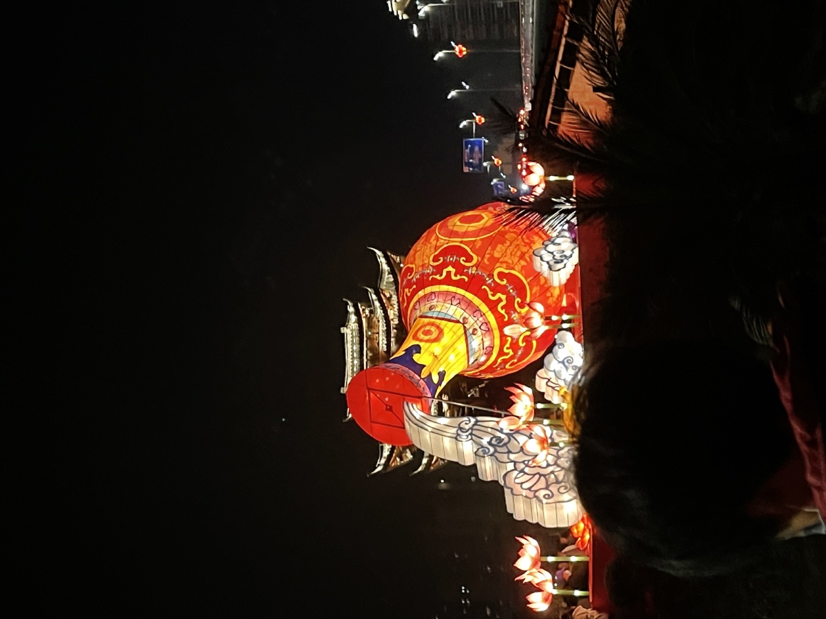 义乌佛堂伏虎桥夜景家门口的景区漂亮