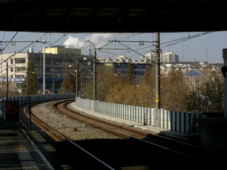 231803