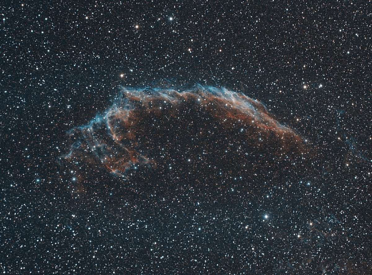 ngc6992 陈奕彦