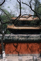 02895298-FC0A-46DA-8612-C351EE2F0B42/L0/001