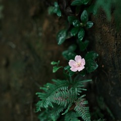 74FF4A0B-0C66-47DF-95B9-3702A75CB590/L0/001