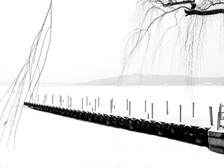 5D014AB4-304D-4F87-B459-3F408CA5673A/L0/001