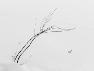 397E2505-5F27-492A-8B85-318D149F10DD/L0/001