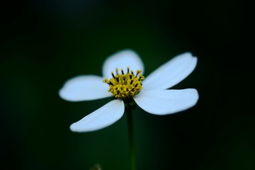 182029