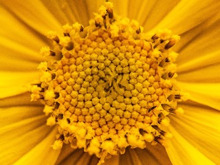 88196