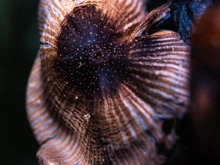 142022
