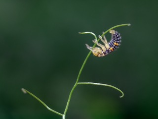 138070