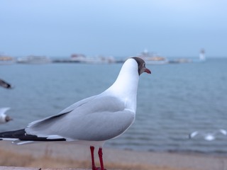 140345
