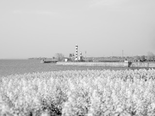 138007