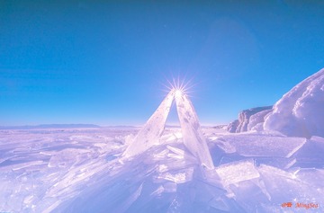 1161302
