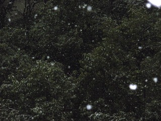 7AD2275C-2E87-41C0-85F2-93CB9C606327/L0/001