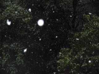 DF83636E-896D-4E47-85C5-6957D1DEFE36/L0/001