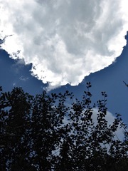 F8700058-FC7F-4D84-B565-17372E467628/L0/001