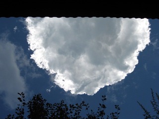 D04DBC58-98BE-403C-900E-0AEB02B838A5/L0/001