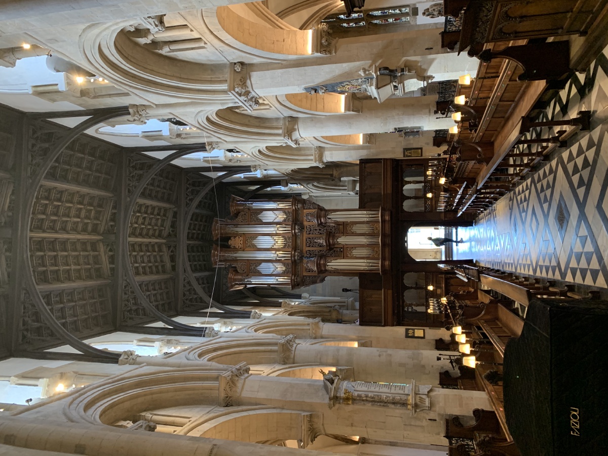 各式各样的大教堂内饰