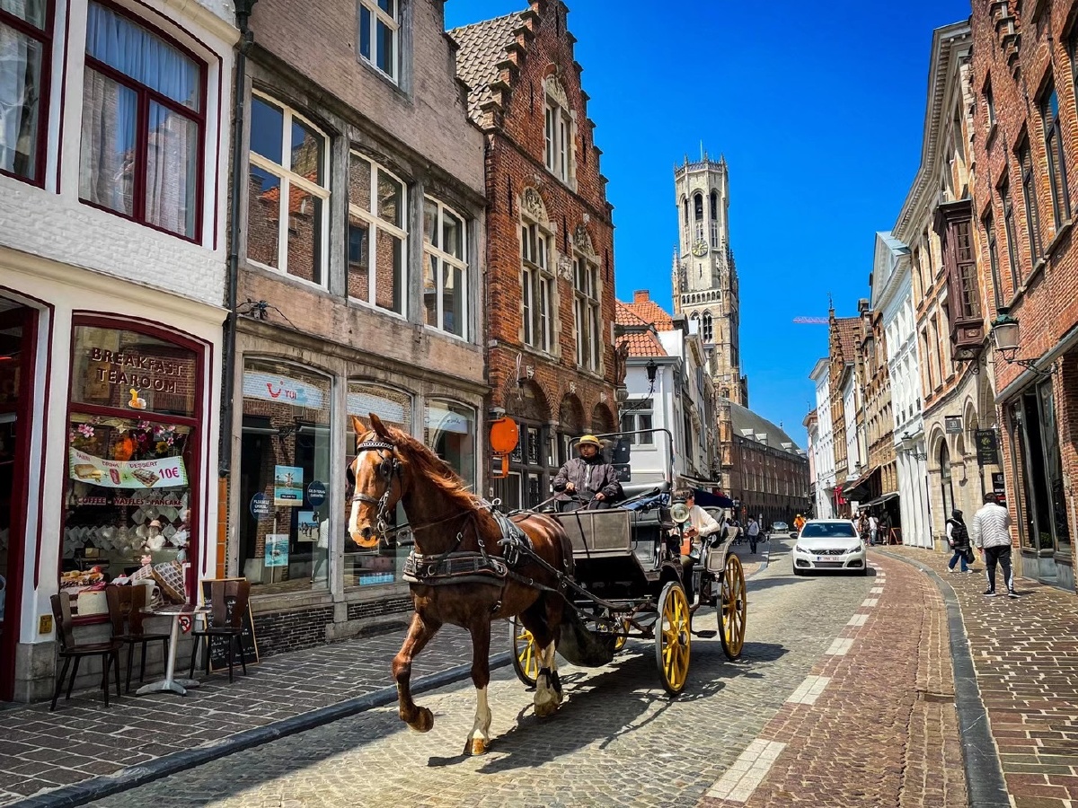 比利时终于结束了将近两周的阴雨天[裂开]大家周末出行热情极其高涨,