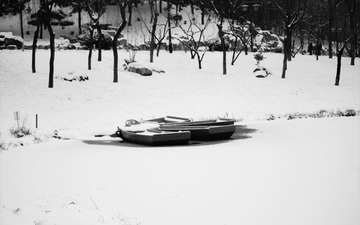 2010501