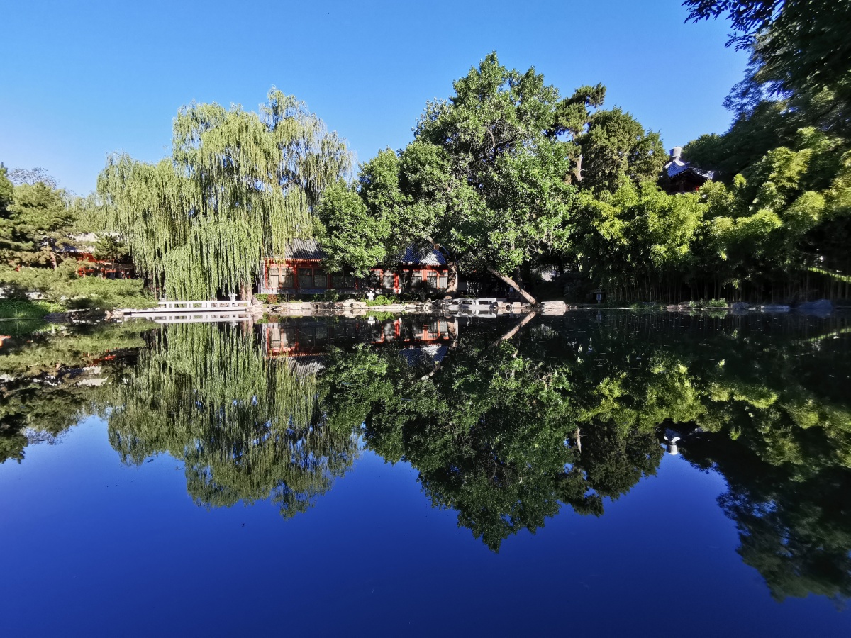 静绿树阴浓夏日长,楼台倒影入池塘