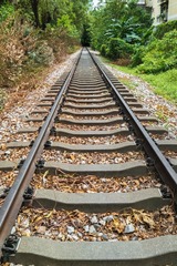 33621