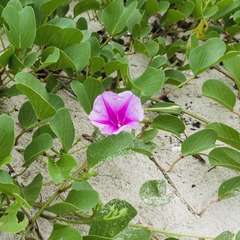 20102