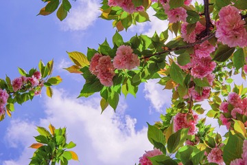 0643E05D-34F6-49FF-BAD4-E0F43EAE961A/L0/001