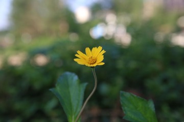 567498