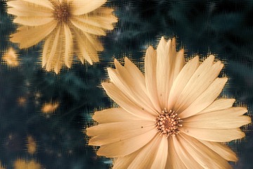 D5A94194-F3E9-45AD-8D99-CC49309D4247/L0/001