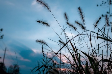 3E332E86-865B-49AB-A57E-45D876AC08F6/L0/001