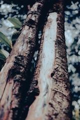A8FE5BB6-F5EC-483B-A26F-669B28B88053/L0/001