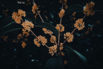 598F3CF4-50E0-4DE0-8FA6-505D69532737/L0/001