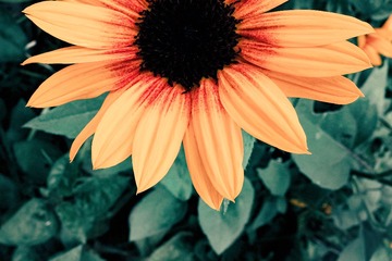 65C2F389-02BB-498E-8CE8-2F5B7CA3E248/L0/001