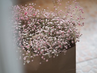 BCF70AAF-FBBB-4366-9AA5-F3D9B73B0DD9/L0/001