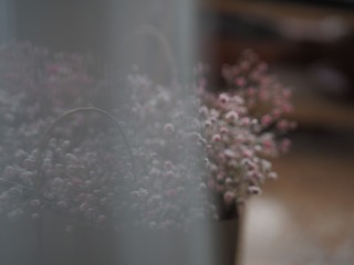 471D4683-12D4-4E8D-90AA-234E7B14FF85/L0/001