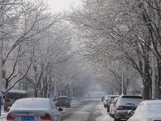 F7371238-D109-45CC-828A-B1C939F54627/L0/001