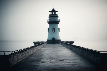 31038