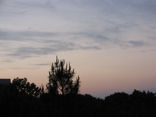 DE8D6BC0-A462-4B5B-B0FA-E55C576CF320/L0/001