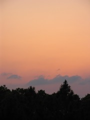 8F3C2EBD-AFB4-458E-88D1-C1AE9F78DA62/L0/001