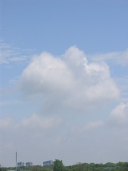 D8251673-B67D-46DF-83E4-80265671C7F7/L0/001