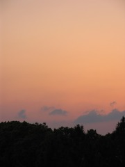 3CE7520E-7845-4BD7-AA62-BEDAC68C0EE0/L0/001