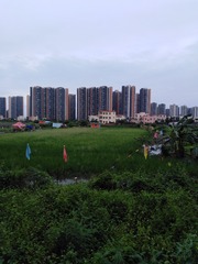 1624301