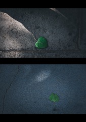 208066