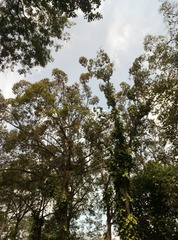 C2123DDC-6AB2-4258-8CD3-1169E8661365/L0/001