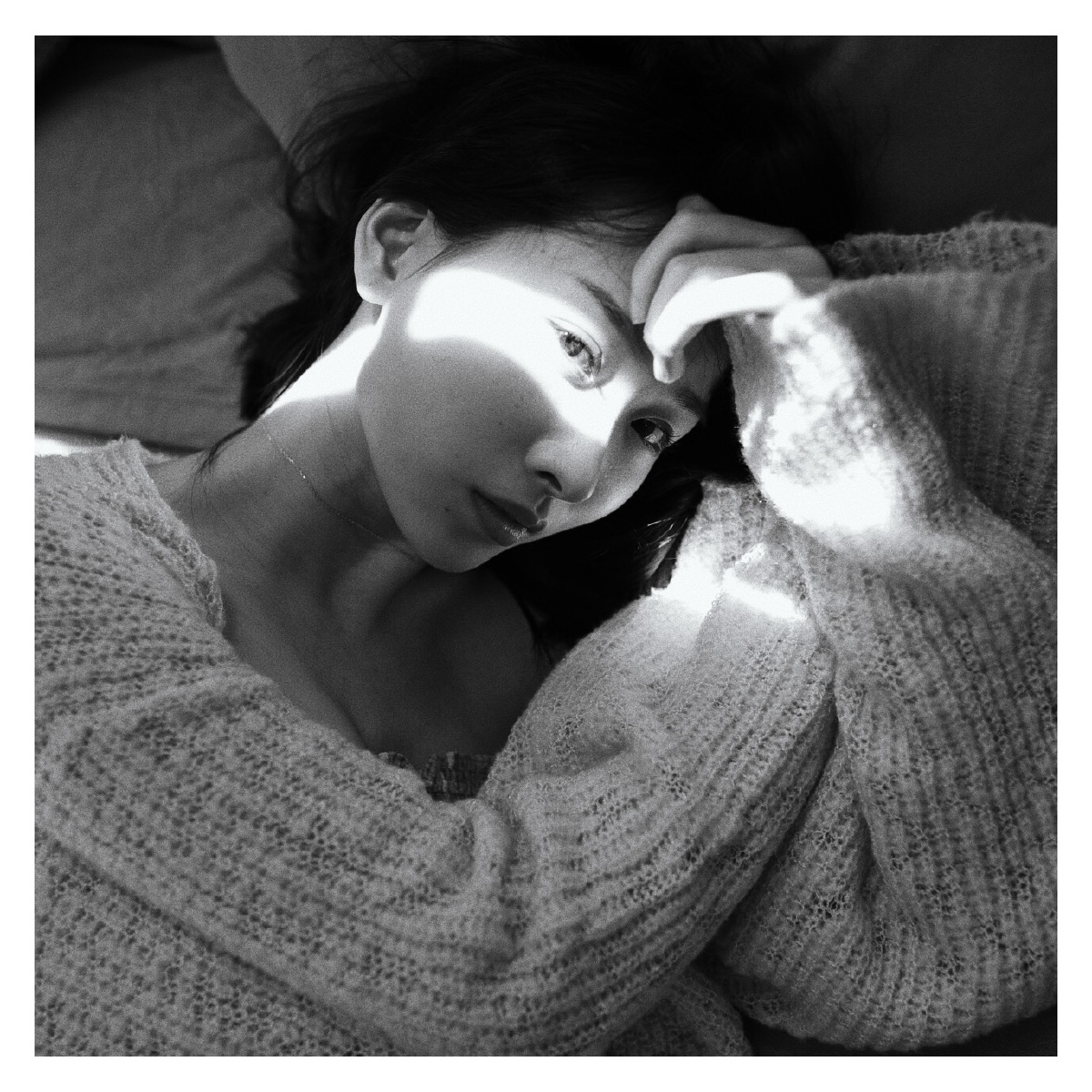 lena灰摄灰摄关注