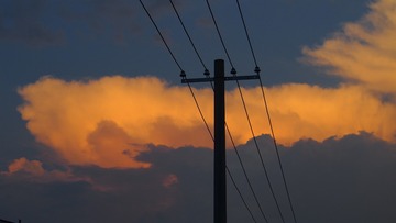 103761
