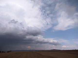 772273