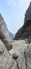 1000036201
