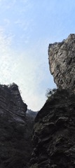 1000036208