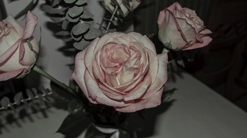 CDF6D659-5055-4ED8-A54C-E35CD257395A/L0/001