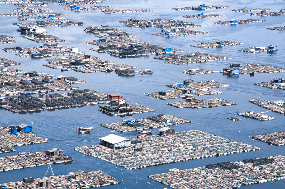 连江海上排列整齐的渔排