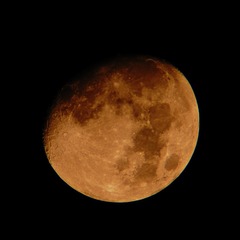 90387B78-14EF-40EA-B14F-01EB2146D9D5/L0/001